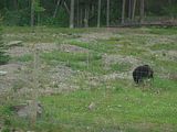 121 - Banff,Lake Louise,Morraine Lake  - IMGA0091